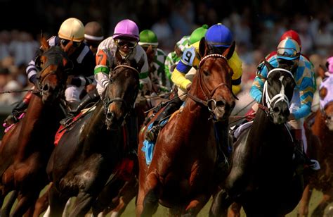 Kentucky Derby 2014 A Guide For New Punters Sports Chump