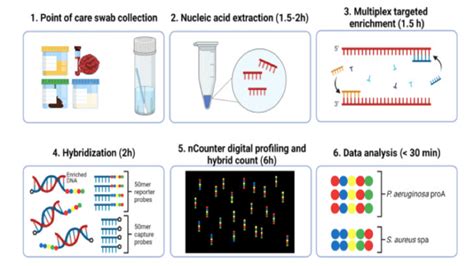 Dna Barcoding And Its Use To Identify Different Pathogens Micronbrane