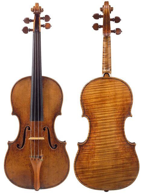 37 ideias de Violino | violino, saxofone soprano, instrumentos musicais