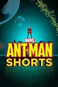Marvel's Ant-Man Shorts - Rotten Tomatoes