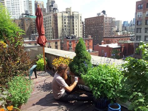 Nyc Manhattan Penthouse Rooftop Garden Drip Irrigation
