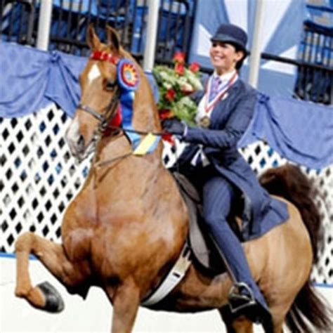 saddle seat equitation expert advice  horse care  horse riding