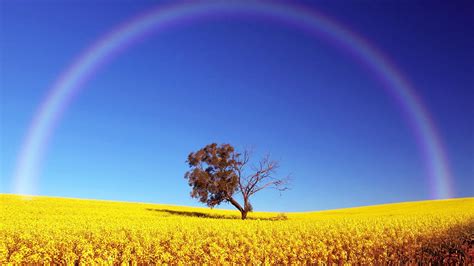 Rainbow Wallpaper High Definition High Quality Widescreen