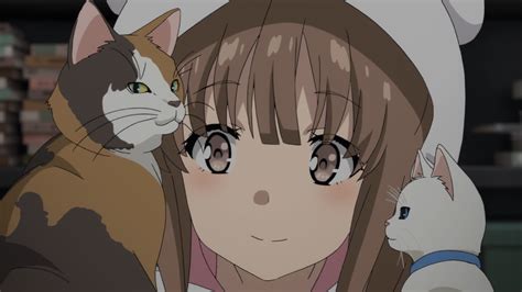Anime Review Spoiler Free Rascal Does Not Dream Of Bunny Girl Senpai