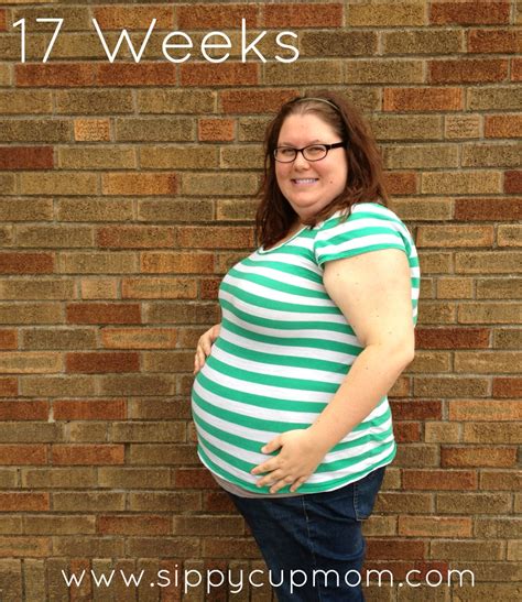 Pregnancy 17 Weeks Mayo Clinic