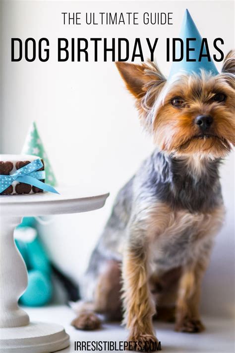Click ship to this address. Dog Birthday Ideas | Dog birthday gift, Homemade dog cookies