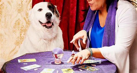 How A Dog Psychic Brought Me Closer To My Dog Bechewy