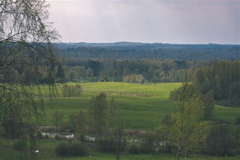 Plain Simple Countryside Spring Landscape With Fresh Green Meadows And