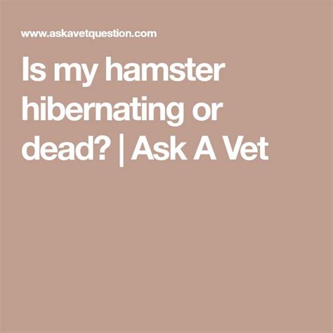 Is My Hamster Hibernating Or Dead Ask A Vet Ask A Vet