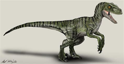Jurassic World Velociraptor Charlie By Nikorex Jurassic Park Characters