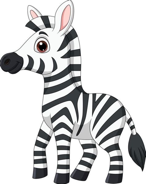 Download Cute Baby Zebra Posing Isolated On White Background For Free