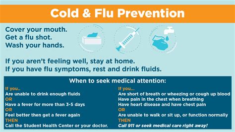 Cold And Flu Prevention Center For Health Education And Wellness