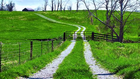 Way Path Road Green Fields Trees Landscapes Nature