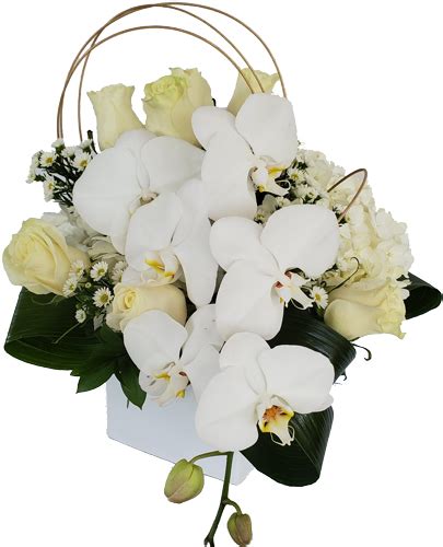 White Paradise Love Flowers Miami