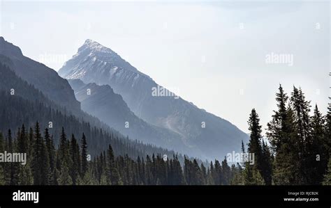 Alberta Icefields Parkway Kanada Kanadische Rocky Mountains Stock