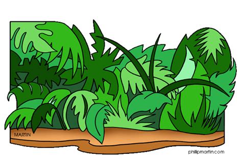 Download High Quality Tree Clipart Jungle Transparent Png