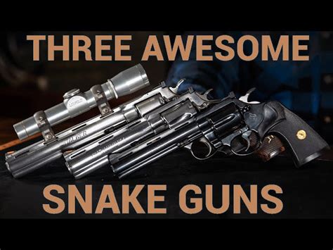 3 Rare And Amazing Colt Snake Guns