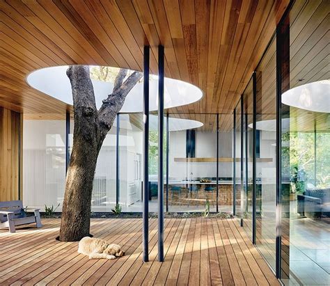 A Home Built Around A Tree Architecture Indoor Trees Roof Architecture