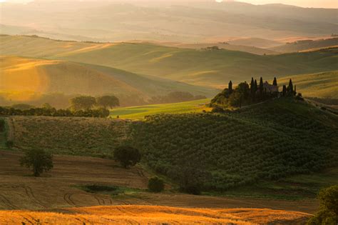 Early Morning Sunrise Over Of Olive Groves Country In Tuscany Italy