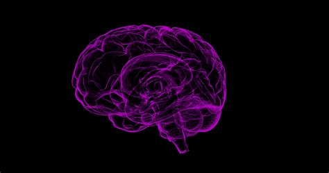 How Cannabinoids Affect The Brain