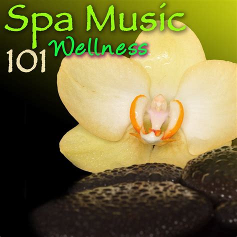 ‎spa Music 101 Wellness Amazing Relaxing Sounds For Spas Album By Spa Meditation Relax Club