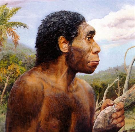 Últimos Homo erectus vivieron en Indonesia hace unos mil años