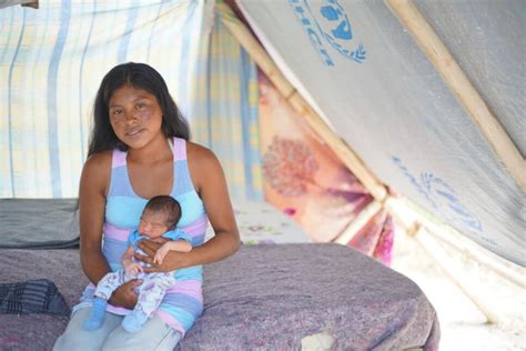 Magdalena Indígena Del Pueblo Pemón Encuentra Protección En Tarauparu Iricasorg