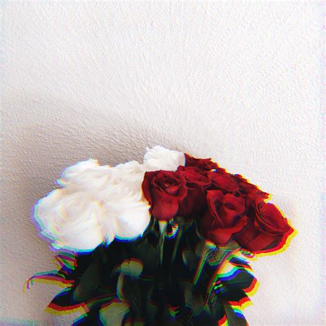 White Rose Aesthetic Wallpapers Top Free White Rose