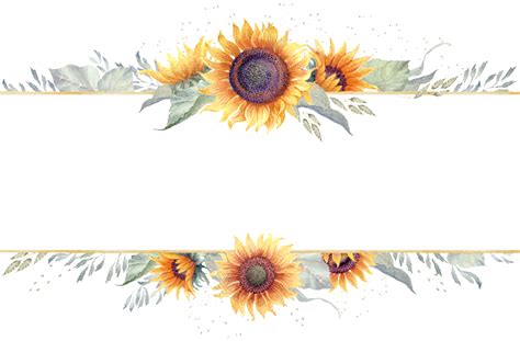 Sunflower Border Clip Art Cute Sunflower Border Frame Free Clip Art