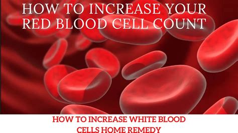 How To Increase Your Red Blood Cell Count How To Increase White Blood