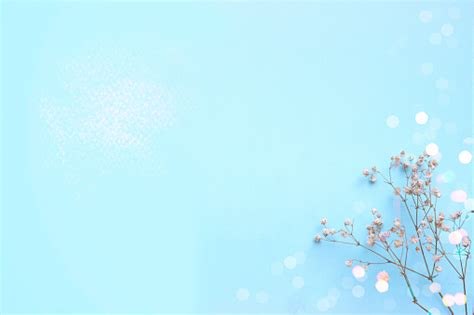 We did not find results for: Baby Blue Background With Small White Flowers And Bokeh ...