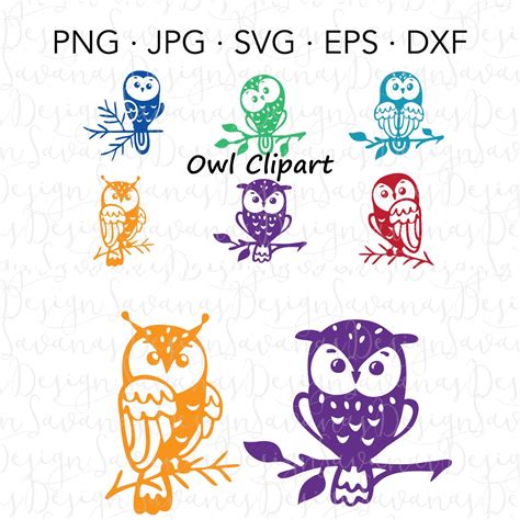 Owl Clipart And Owl Svg Files Masterbundles