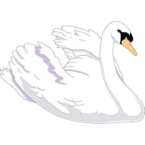 7 Swans A Swimming Clipart Berkah
