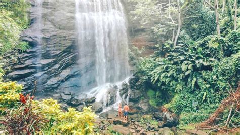 The 5 Best Grenada Waterfalls With Local Tips 2024