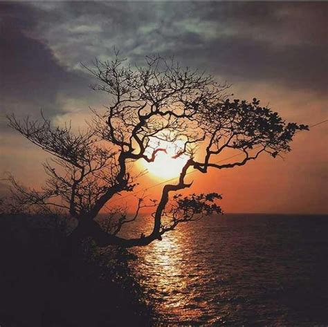 Liburan ke pantai merupakan salah satu momen yang paling dinanti di setiap holiday. Gambar Pemandangan Di Sore Hari - Moa Gambar