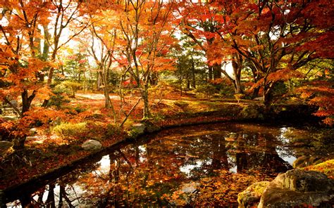 Japanese Autumn Desktop Wallpapers Top Free Japanese