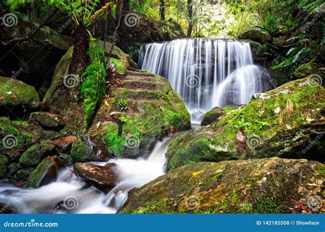 Tranquil Lush Waterfall In Leura Stock Photo Image Of Rocks Green