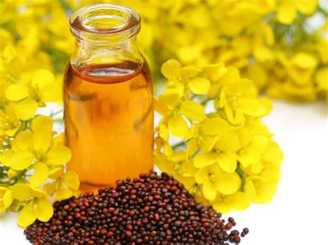 Buy Black Mustard Seeds Oil Rai Oil By Parampara Organic On Jain