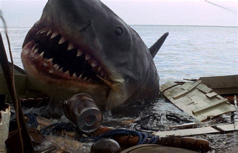 Jaws Tracing The Real Life Inspirations Behind Classic Horror Movies