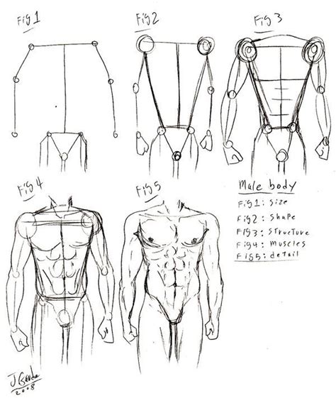 Basic Male Utter Body Tut By Destinyfall On Deviantart Body Drawing Tutorial Male Body