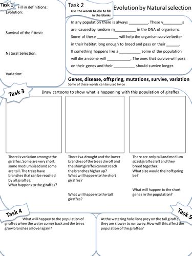 Claude fishlere / analytical students feel confident in their native language, so they are better able to learn in general, including in their new language. Answer sheet for evolution natural and artificial selection : Bagian otak dan fungsinya pdf