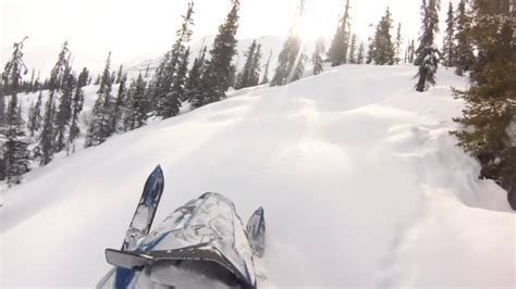 Deep Snow Blue Skies Tree Climb Glacier View Alaska