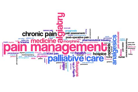 Pain Management Among Older Adults The Claude Pepper Center