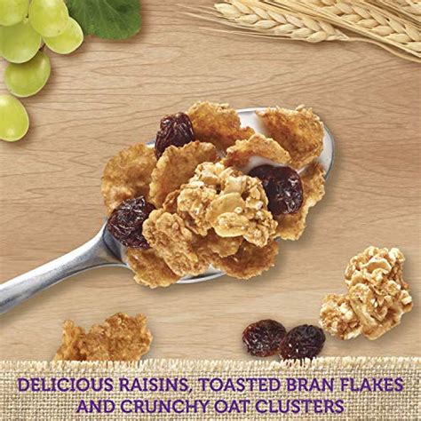 Kelloggs Raisin Bran Crunch Cereal In A Cup High Fiber Breakfast