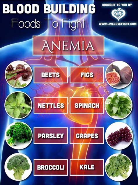 17 Iron Rich Foods For Iron Deficiency And Anemia Atelier Yuwaciaojp