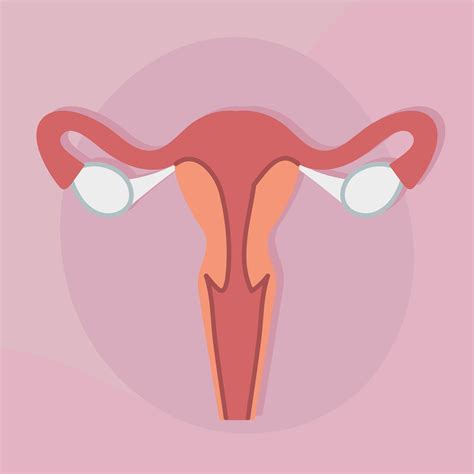 Icono Del Sistema Reproductivo Femenino Estilo De Dibujos Animados The Best Porn Website