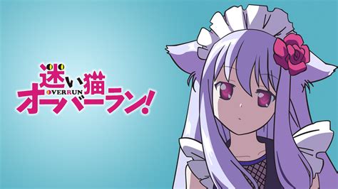 Free Download Hd Wallpaper Animal Anime Ears Kiriya Mayoi Neko