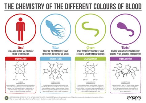 Deoxygenated blood is most certainly not blue, but a darker red. Why some animals have blue, green, or purple blood - Vox