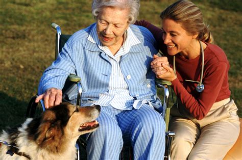 Animal Assisted Therapy Certification Tips