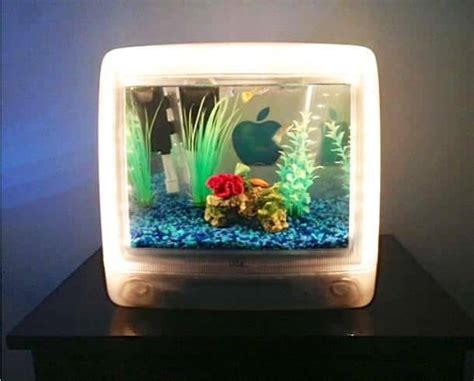 15 Aquarium Design Ideas Cool And Unique Fish Tanks